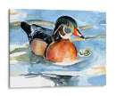 Acuarela Woodduck Ii - Jennifer Paxton Parker | Cuadro decorativo de Canvas Lab