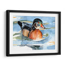 Acuarela Woodduck Ii - Jennifer Paxton Parker | Cuadro decorativo de Canvas Lab