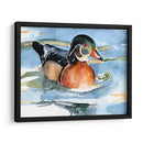 Acuarela Woodduck Ii - Jennifer Paxton Parker | Cuadro decorativo de Canvas Lab