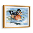Acuarela Woodduck Ii - Jennifer Paxton Parker | Cuadro decorativo de Canvas Lab