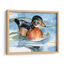 Acuarela Woodduck Ii - Jennifer Paxton Parker | Cuadro decorativo de Canvas Lab