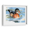 Acuarela Woodduck Ii - Jennifer Paxton Parker | Cuadro decorativo de Canvas Lab