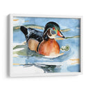 Acuarela Woodduck Ii - Jennifer Paxton Parker | Cuadro decorativo de Canvas Lab