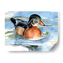 Acuarela Woodduck Ii - Jennifer Paxton Parker | Cuadro decorativo de Canvas Lab