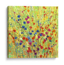 Parche De Flores Silvestre I - Tim OToole | Cuadro decorativo de Canvas Lab