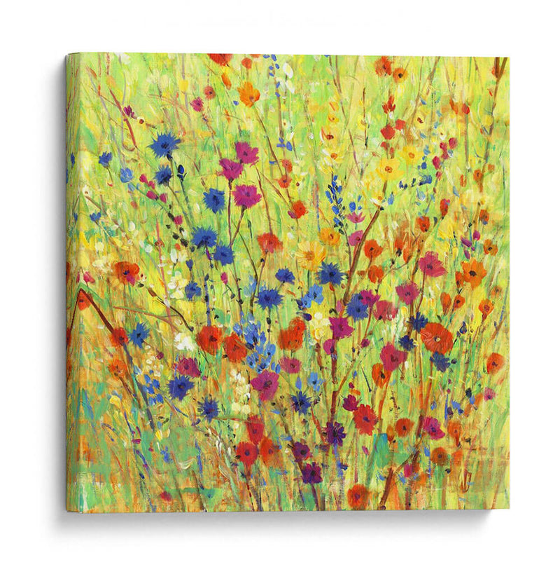 Parche De Flores Silvestre I - Tim OToole | Cuadro decorativo de Canvas Lab