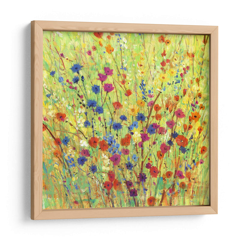 Parche De Flores Silvestre I - Tim OToole | Cuadro decorativo de Canvas Lab