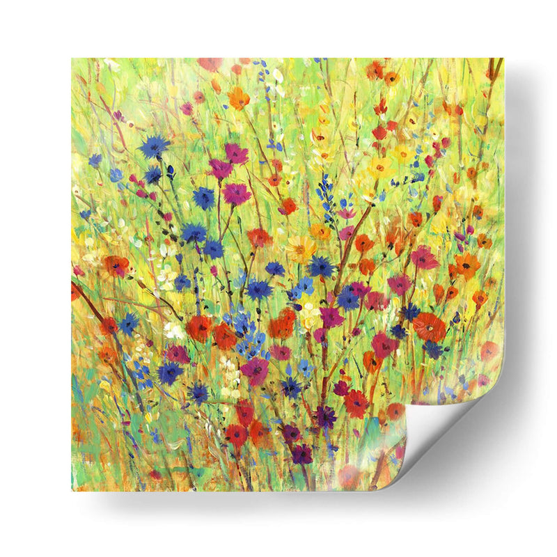 Parche De Flores Silvestre I - Tim OToole | Cuadro decorativo de Canvas Lab