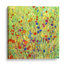 Patch Wildflower Ii - Tim OToole | Cuadro decorativo de Canvas Lab