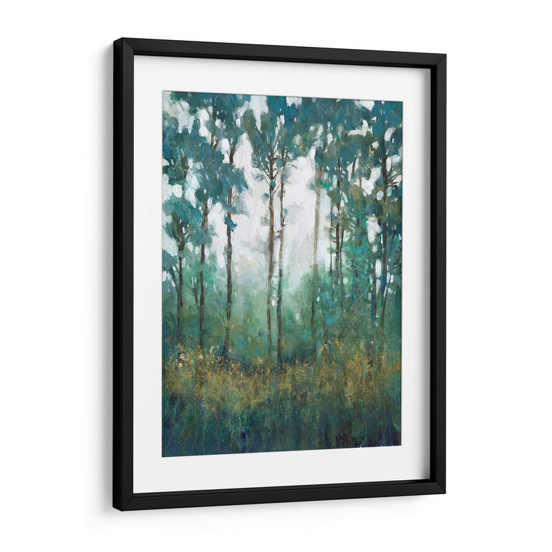 Resplandor En El Bosque I - Tim OToole | Cuadro decorativo de Canvas Lab