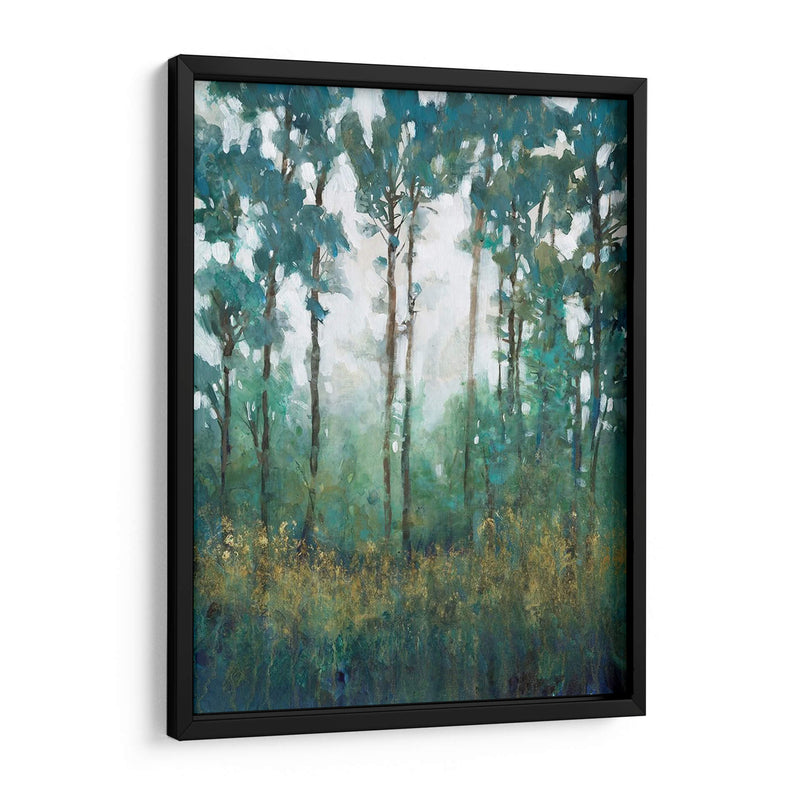 Resplandor En El Bosque I - Tim OToole | Cuadro decorativo de Canvas Lab