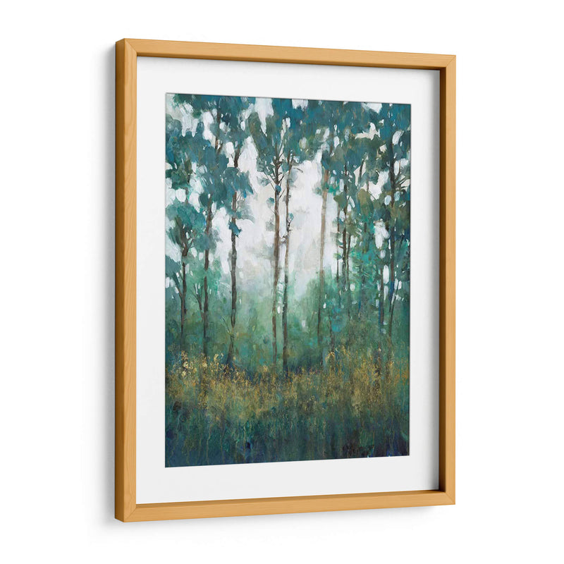 Resplandor En El Bosque I - Tim OToole | Cuadro decorativo de Canvas Lab