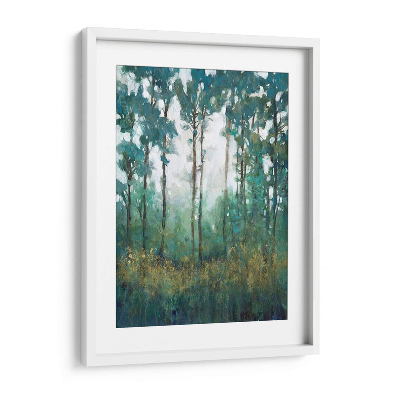 Resplandor En El Bosque I - Tim OToole | Cuadro decorativo de Canvas Lab