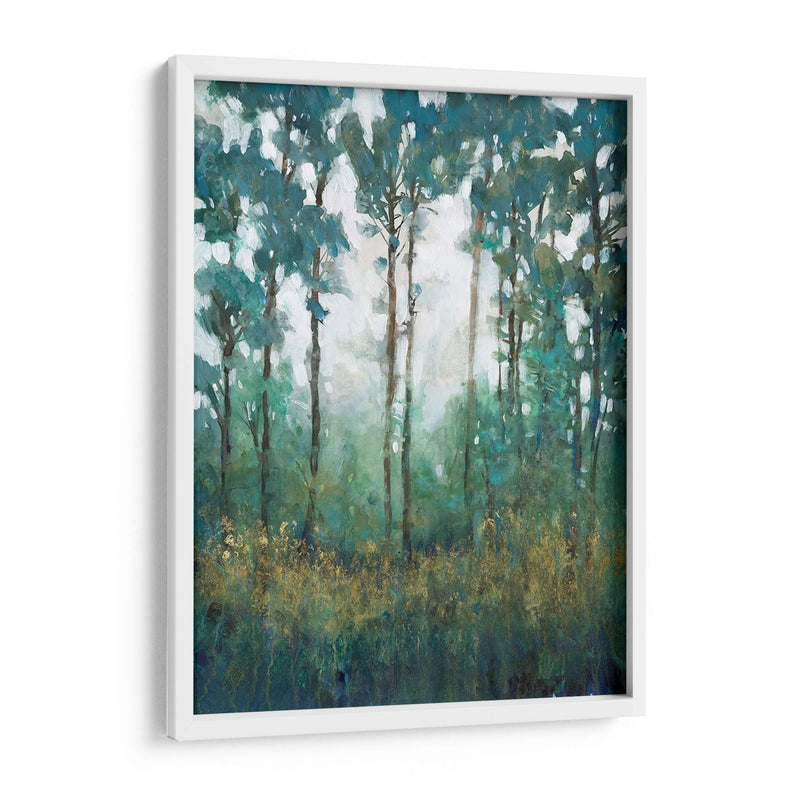 Resplandor En El Bosque I - Tim OToole | Cuadro decorativo de Canvas Lab