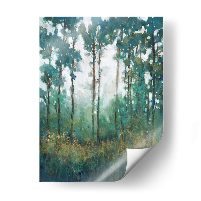 Resplandor En El Bosque I - Tim OToole | Cuadro decorativo de Canvas Lab