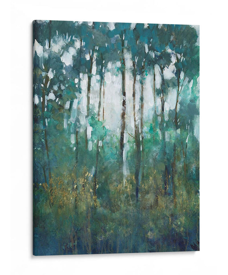 Resplandor En El Bosque Ii - Tim OToole | Cuadro decorativo de Canvas Lab