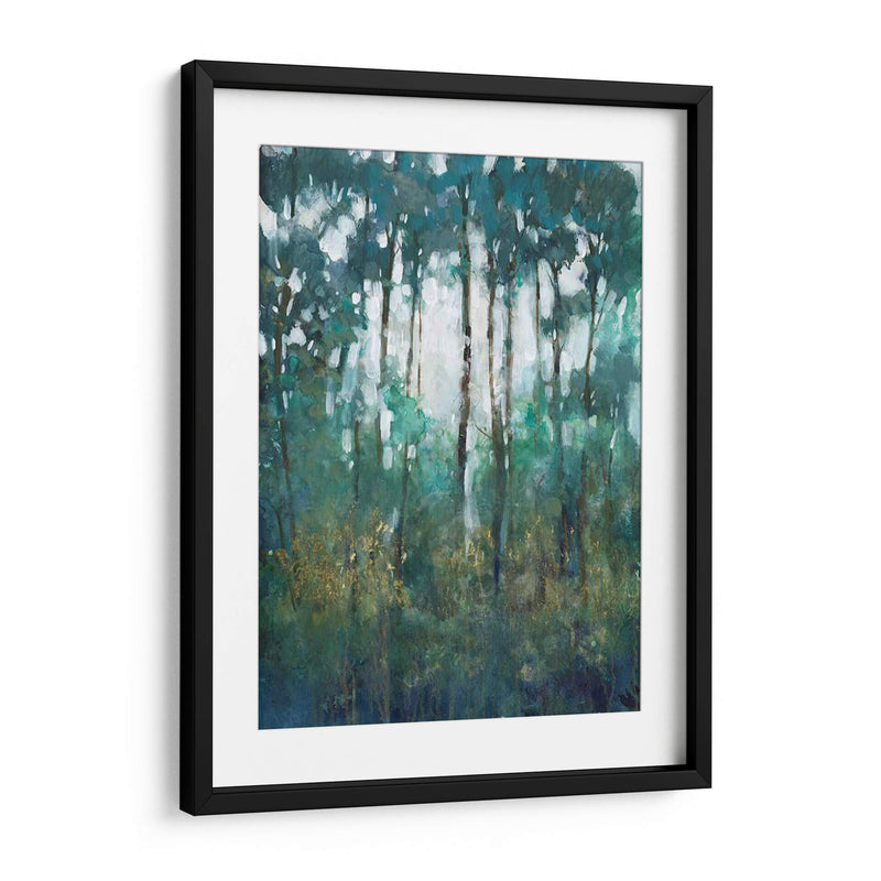 Resplandor En El Bosque Ii - Tim OToole | Cuadro decorativo de Canvas Lab