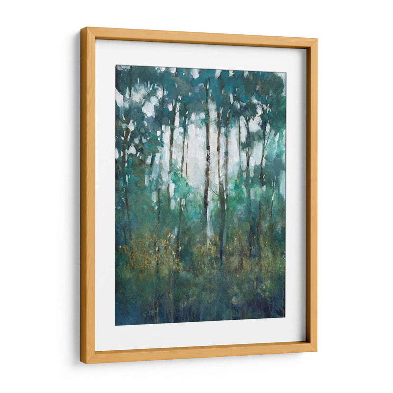 Resplandor En El Bosque Ii - Tim OToole | Cuadro decorativo de Canvas Lab