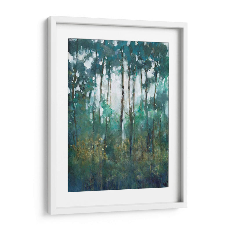 Resplandor En El Bosque Ii - Tim OToole | Cuadro decorativo de Canvas Lab