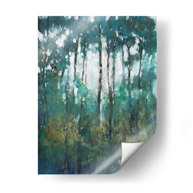 Resplandor En El Bosque Ii - Tim OToole | Cuadro decorativo de Canvas Lab