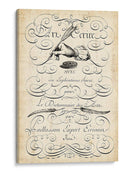 El Arte De La Pluma. - Vision Studio | Cuadro decorativo de Canvas Lab