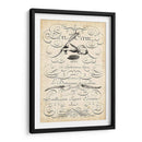 El Arte De La Pluma. - Vision Studio | Cuadro decorativo de Canvas Lab