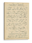 Alfabeto Sampler Iv - Denis Diderot | Cuadro decorativo de Canvas Lab
