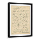 Alfabeto Sampler Iv - Denis Diderot | Cuadro decorativo de Canvas Lab