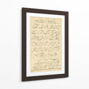 Alfabeto Sampler Iv - Denis Diderot | Cuadro decorativo de Canvas Lab
