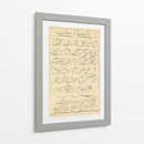 Alfabeto Sampler Iv - Denis Diderot | Cuadro decorativo de Canvas Lab