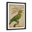 Parrot Y Palm Ii - Vision Studio | Cuadro decorativo de Canvas Lab