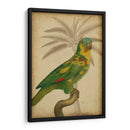 Parrot Y Palm Ii - Vision Studio | Cuadro decorativo de Canvas Lab