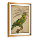 Parrot Y Palm Ii - Vision Studio | Cuadro decorativo de Canvas Lab