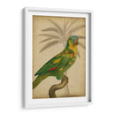Parrot Y Palm Ii - Vision Studio | Cuadro decorativo de Canvas Lab