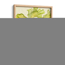 Colección De Algas Vintage I - Melissa Wang | Cuadro decorativo de Canvas Lab