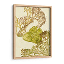 Colección De Algas Vintage Ii - Melissa Wang | Cuadro decorativo de Canvas Lab