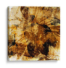 Poppy Gold Ii - Sia Aryai | Cuadro decorativo de Canvas Lab