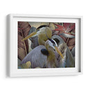 Dos A Tango - Steve Hunziker | Cuadro decorativo de Canvas Lab