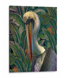 Primal Pelicana - Steve Hunziker | Cuadro decorativo de Canvas Lab