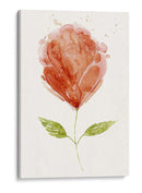 Boom Bloom I - Grace Popp | Cuadro decorativo de Canvas Lab