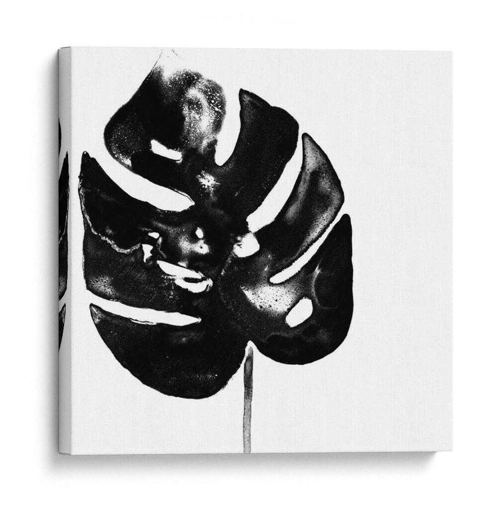 Monocromo Tropic I - June Erica Vess | Cuadro decorativo de Canvas Lab