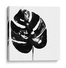 Monocromo Tropic I - June Erica Vess | Cuadro decorativo de Canvas Lab