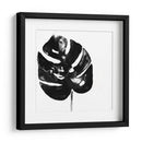 Monocromo Tropic I - June Erica Vess | Cuadro decorativo de Canvas Lab