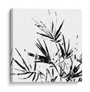 Monocromo Tropic Ii - June Erica Vess | Cuadro decorativo de Canvas Lab