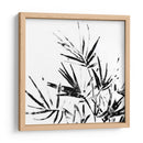 Monocromo Tropic Ii - June Erica Vess | Cuadro decorativo de Canvas Lab