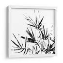 Monocromo Tropic Ii - June Erica Vess | Cuadro decorativo de Canvas Lab