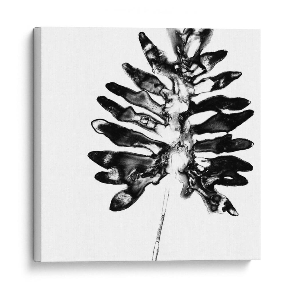 Monocromo Tropic Iii - June Erica Vess | Cuadro decorativo de Canvas Lab