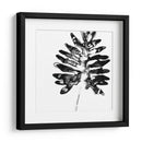 Monocromo Tropic Iii - June Erica Vess | Cuadro decorativo de Canvas Lab