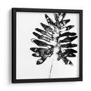 Monocromo Tropic Iii - June Erica Vess | Cuadro decorativo de Canvas Lab