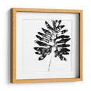 Monocromo Tropic Iii - June Erica Vess | Cuadro decorativo de Canvas Lab